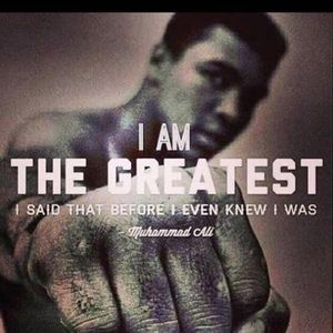 Meet your Posher, Beev